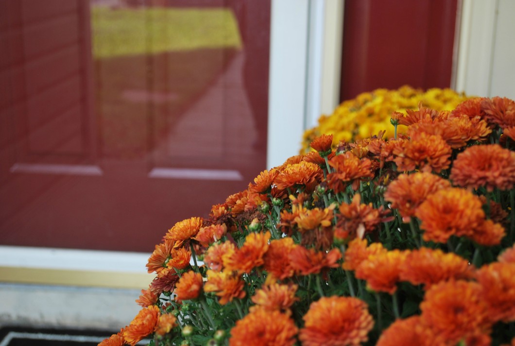6 Affordable Ways I Created a Fall Inspired Front Door