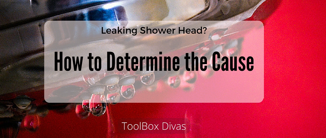 Repairing that Leaky Shower Head Nuisance