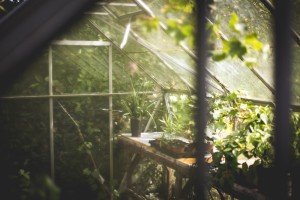 DIY Greenhouses: A Simple And Cheap Design To Keep DIYers Gardening Through Winter