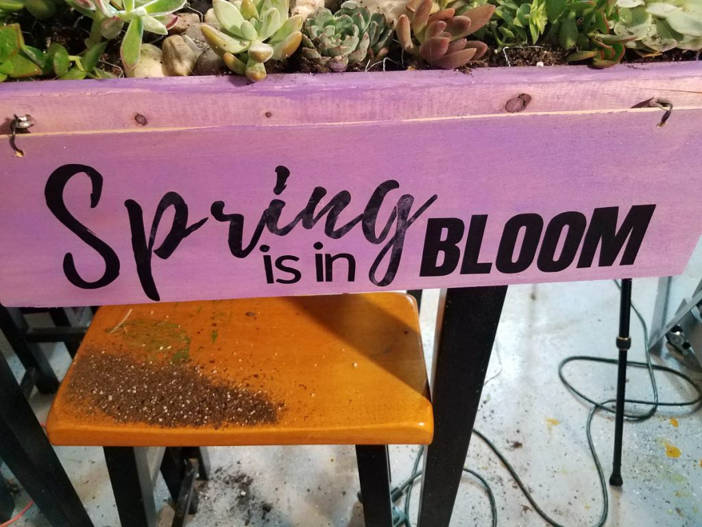 spring is in bloom sign