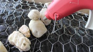 adding rocks to make a path in my succulent garden planter