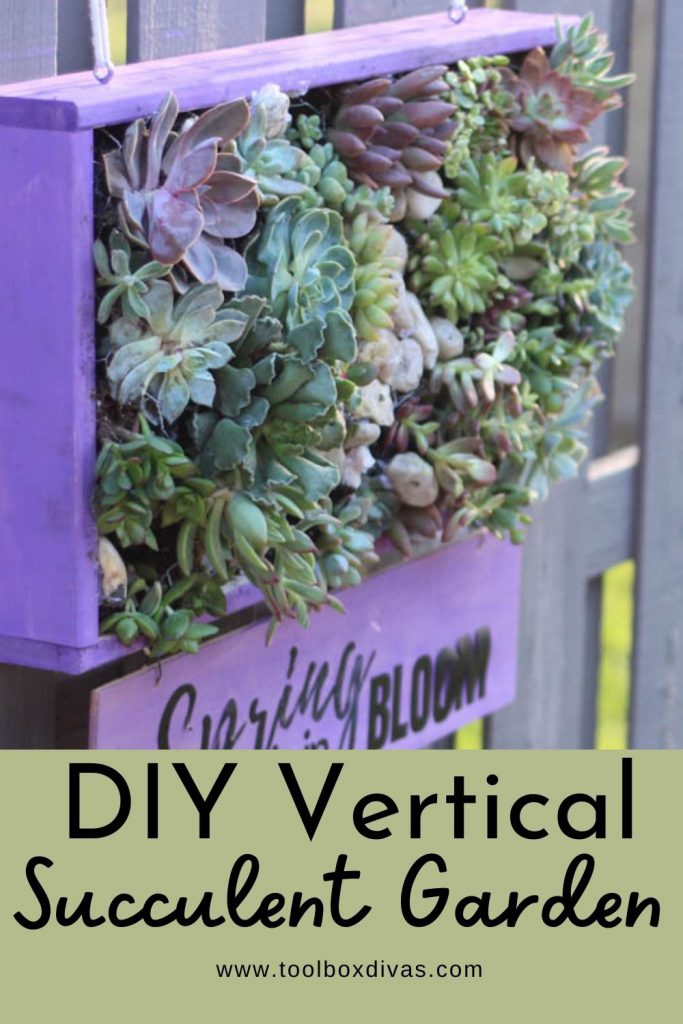 image of succulent garden hanging on fence with text overlay "DIY Vertical Succulent Garden"