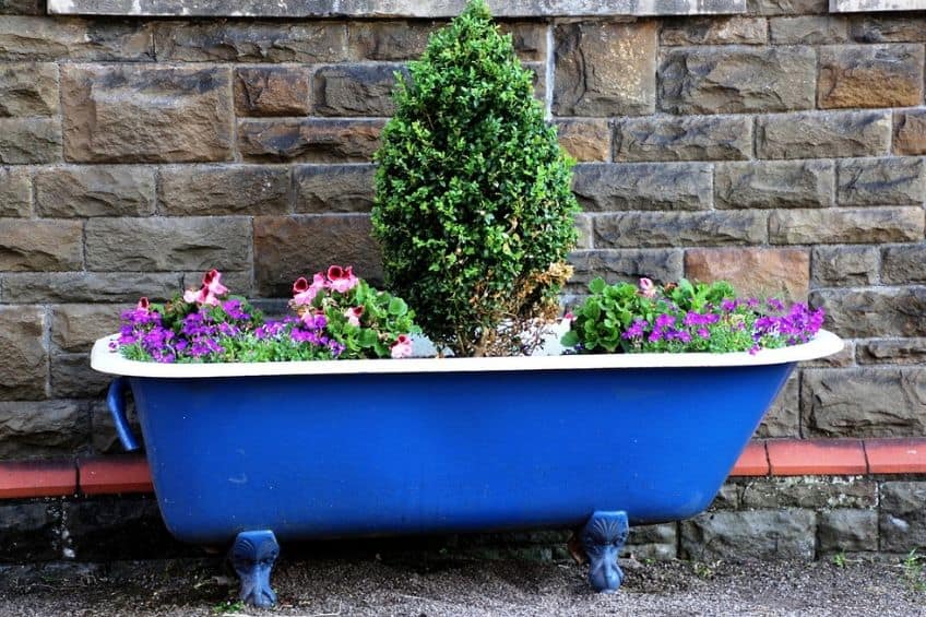 blue clawfoot tub upcyled into a container garden