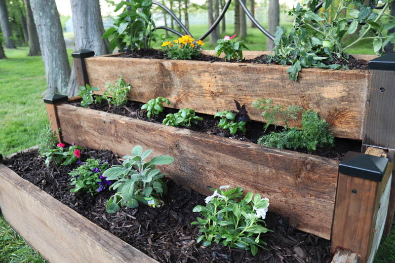 closeup of tiered garden bed with plants
